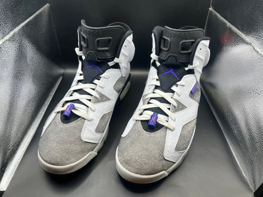 (15) Jordan 6 Retro LTR Flint